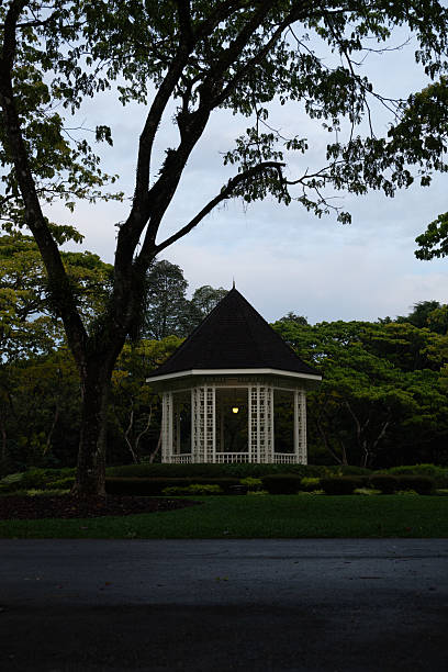 istock Singapore Botanic Gardens Orchids 2209508113