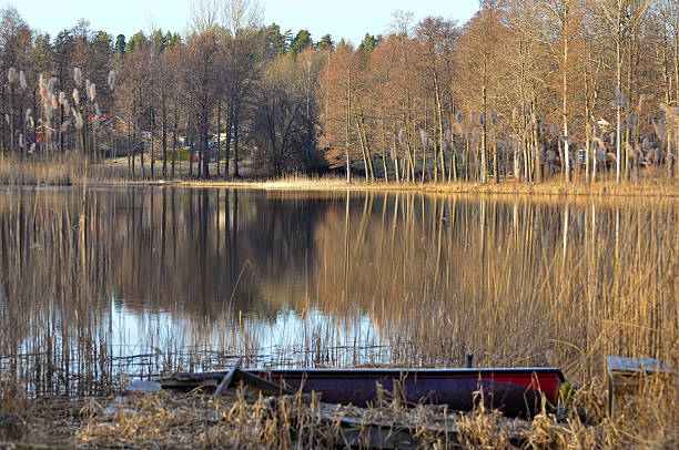 Scenic view of a lake