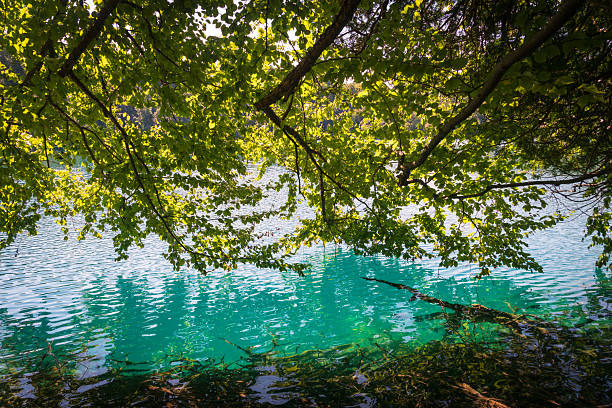 The Scenic Green Lakes State Park in New York State