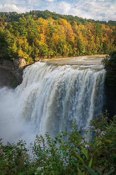 istock Letchworth State Park in New York State 2209516318