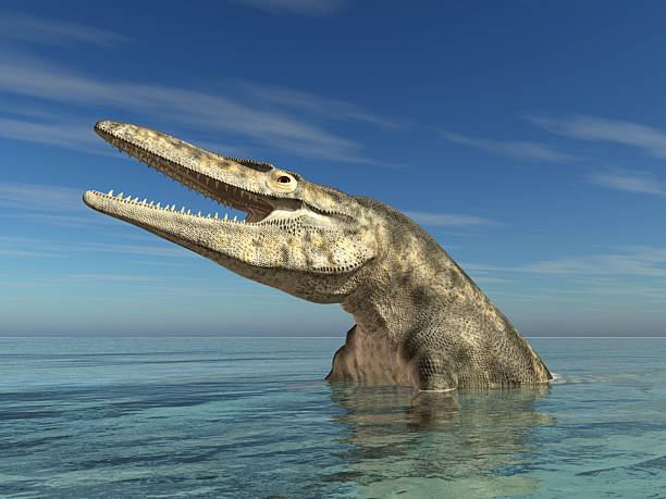istock Prehistoric mosasaur Tylosaurus in the open sea 2209519393