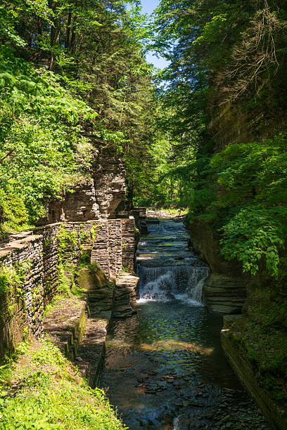 istock Robert H. Treman State Park in Upstate New York 2209523999