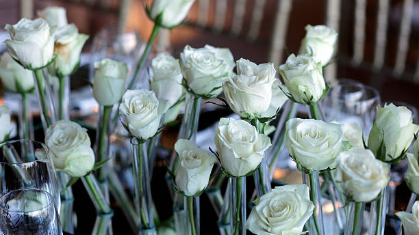 Photo of roses with their beautiful petals and details.