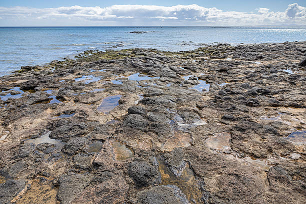 The tidal zones are very important areas for the oceans because its shifts between water and dry gives room for many different lifeforms - from fish to crabs and snails which prosper from the algae and seaweeds - the picture is taken on the Canary Island Lanzarote