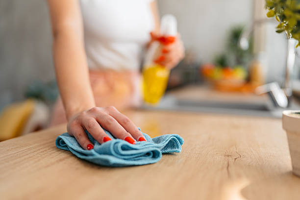 Young Woman Cleaning The Kitchen Counter