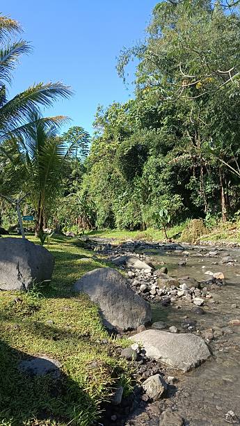istock A clear stream flows gently through a lush green garden under the bright blue sky, surrounded by tropical plants and banana trees, creating a peaceful and refreshing natural scene. 2209542823