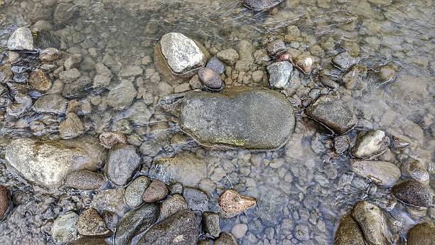 istock Clear river water flows over smooth, scattered stones of various sizes, creating a natural and serene riverbed scene. 2209543001