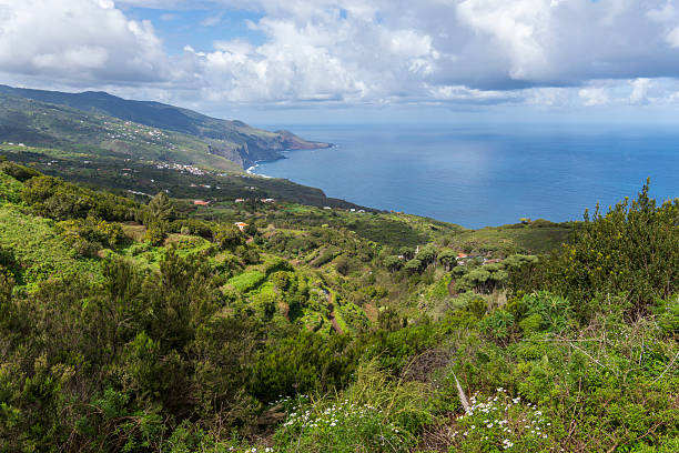 istock La Palma island Canary archipelago Spain Dracaena draco trees 2209545364