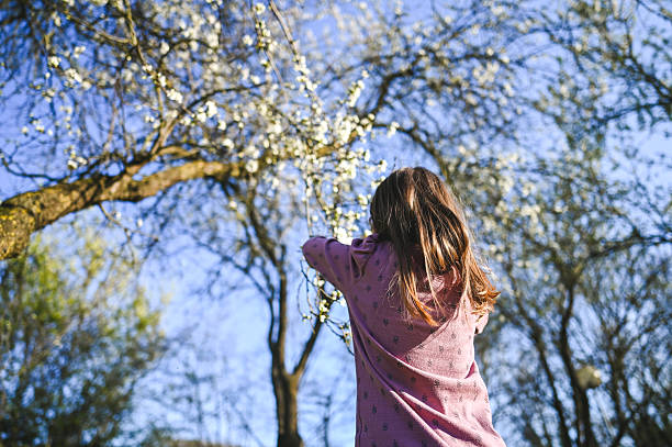 istock Young girl reaching for blossoming tree branch in springtime 2209547380