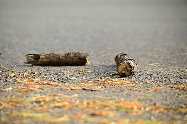 wood on the street