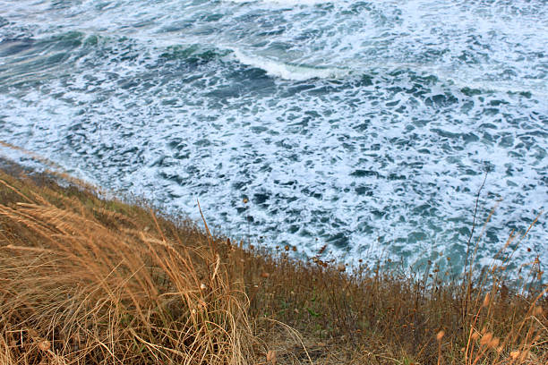 istock Coastal cliff with dry grass and foamy ocean waves 2209560551