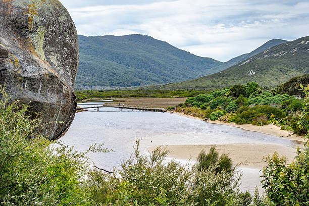 A scenic boardwalk bridge spans Tidal River in Wilsons Promontory. The bridge arches over the calm water, connecting the shoreline to the other side.