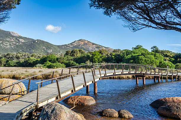 A scenic boardwalk bridge spans Tidal River, with Mt Oberon in the backgrounds. The bridge arches over the calm water, connecting the shoreline to the other side.