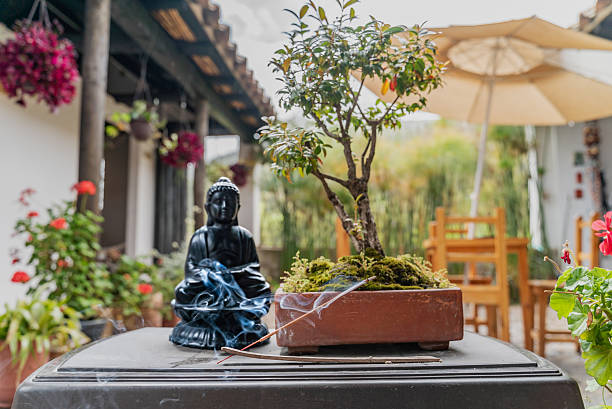 Close-up of incense and Buddhist statue in a spa