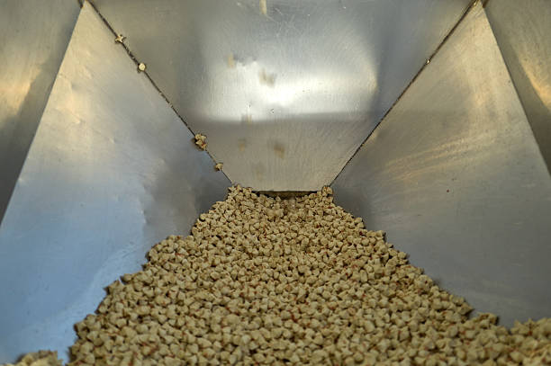 Fresh turkish manti ravioli are being processed by an automatic machine in a food factory