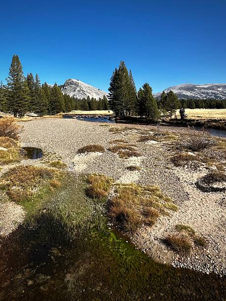 istock Confluence of River and Meadow in Tuolumne (Yosemite National Park, California, USA) 2209575621
