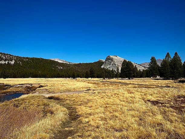 istock Cathedral Rock Across Tuolumne Meadows (Yosemite National Park, California, USA) 2209575673