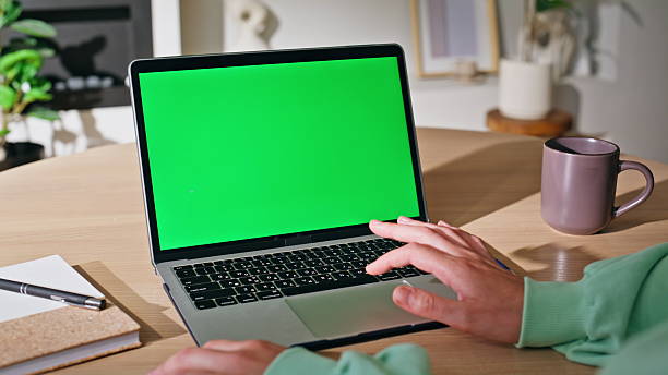 istock Woman hands using touchpad green screen laptop at home closeup. Unknown female 2209590755