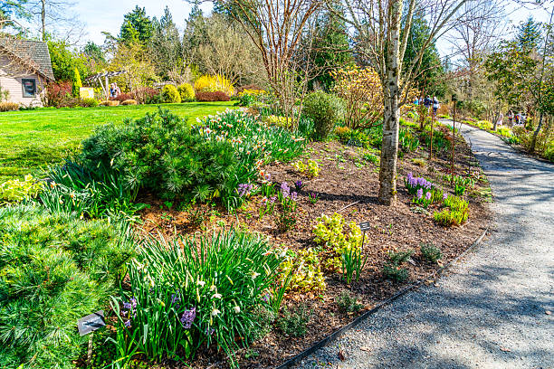 istock Bellevue Garden Scene 2209591555