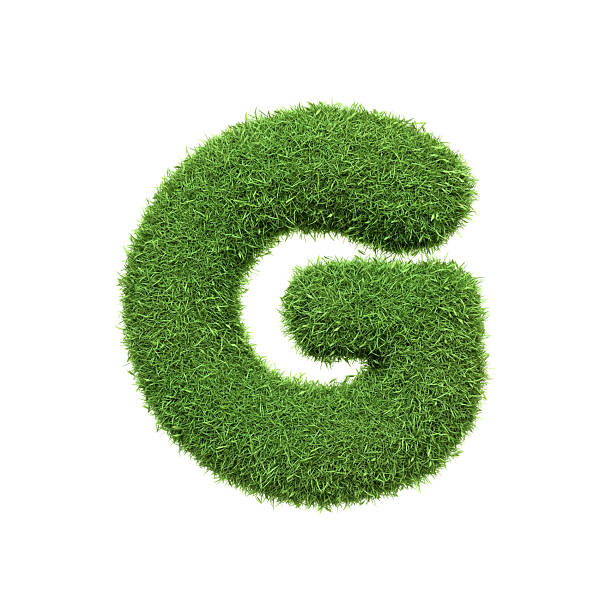 istock Capital letter G shaped from lush green grass, isolated on a white background 2209592208