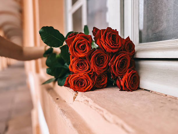 Rose is a perennial flowering plant, which can be erect shrub, climbing or trailing with stems that often have sharp prickles. Flowers vary in size and shape with colors ranging from white, yellow, purple, orange, pink to red. The blooming time is from early summer to fall.