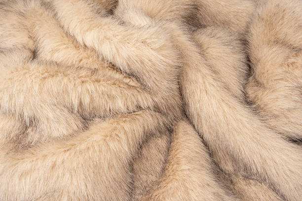 istock Texture of faux fur as a background, top view. 2209603652