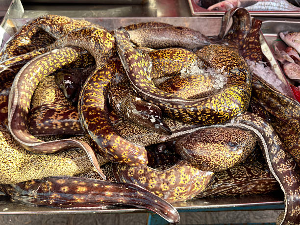 Fish market on Sundays