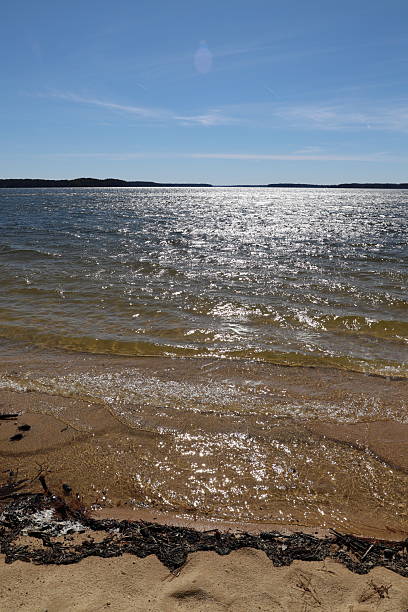 istock Beach at Kerr Lake in North Carolina 2209605247