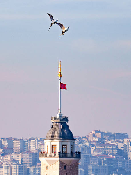 Two seagulls flying in graceful motion above the Maiden’s Tower (Kız Kulesi) in Istanbul, Turkey. The historic tower stands tall with a Turkish flag on top, set against the urban skyline of the city.