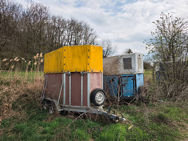 Rusty horse trailers resting forgotten in grassy meadow, weathered metal silhouetted against overcast horizon
