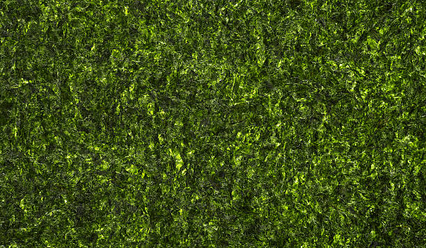 istock Dried sheet seaweed texture as background, top view. Crispy laver nori pattern. 2209611676