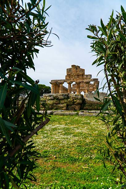 Paestum greek temple of Hera II 450 BC ItalyPaestum was a major ancient Greek city on the coast of the Tyrrhenian Sea, in Magna Graecia. The ruins of Paestum are famous for their three ancient Greek temples in the Doric order dating from about 550 to 450 BC that are in an excellent state of preservation. The city walls and amphitheatre are largely intact, and the bottom of the walls of many other structures remain, as well as paved roads.