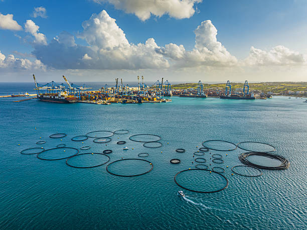 istock Tuna farm and Freeport in Birzebbuga city, Malta 2209624429