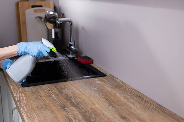 istock Efficient Kitchen Cleaning Process: Spraying Surface Cleaner on a Wooden Countertop with Attention to Detail for a Sparkling Clean Finish 2209626354