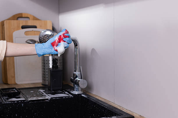 istock A Gloved Hand Holds a Colorful Sponge with Foamy Soap While Cleaning Dishes in a Modern Kitchen Setting Surrounded by Household Cleaning Supplies and a Neat Sink Area 2209626365