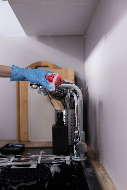 istock Cleaning the Kitchen Sink with Soapy Sponge: A Detailed Look at the Dishwashing Routine in a Modern Home 2209626506