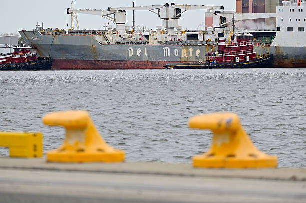 Philadelphia, PA, USA - April 10, 2025; Tug boats maneuver a Del Monte Cargo schip on the Delaware River  at the Port of Philadelphia.