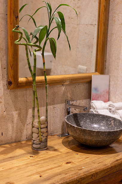 istock Decorative bamboo arrangement and stone basin in modern bathroom setting captured in warm lighting 2209632662