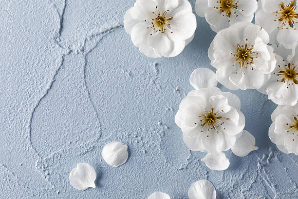 White wedding flowers on textured blue background