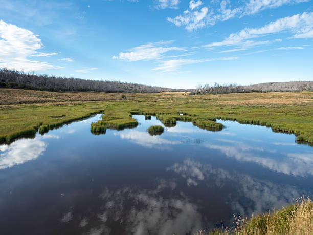 istock Early morning light reflection on a high country lake 2209635920
