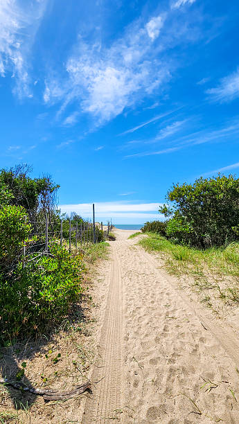 istock DUNE PATH WITH STICKS MARKING THE WAY IN MAR DE LAS PAMPAS, ARGENTINA 2209637143