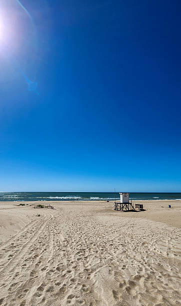 istock Sunny Coastal View with Lifeguard Tower on Sandy Beach 2209637253