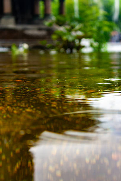 istock Serene Reflections on a Calm Water Surface Amidst Gentle Surroundings 2209637996