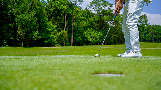 Golfer playing golf in the evening golf course, on sun set evening time. Man playing golf on a golf course in the sun.