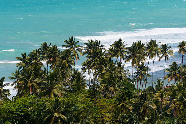 istock Beautiful ocean view with palm trees. Dominican Republic. 2209651750