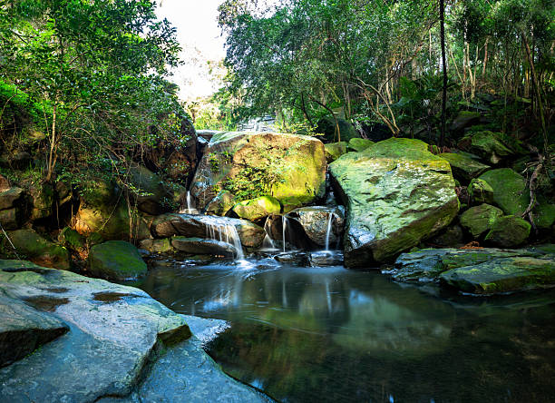 A picturesque waterfall tumbles gently over weathered sandstone, surrounded by dense green foliage in a vibrant forest setting. The scene captures the tranquility and natural beauty of a hidden woodland stream