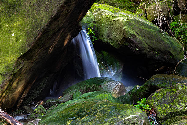 A picturesque waterfall tumbles gently over weathered sandstone, surrounded by dense green foliage in a vibrant forest setting. The scene captures the tranquility and natural beauty of a hidden woodland stream