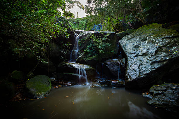 A tranquil waterfall flows gracefully over a series of natural stone rocks, enveloped in vibrant green moss. The water sparkles in the sunlight, creating a calming effect as it tumbles down. Surrounding the waterfall is a serene landscape filled with lush foliage, enhancing the peaceful atmosphere. The quiet location invites visitors to pause and enjoy the beauty of nature, creating a perfect escape for relaxation and reflection.