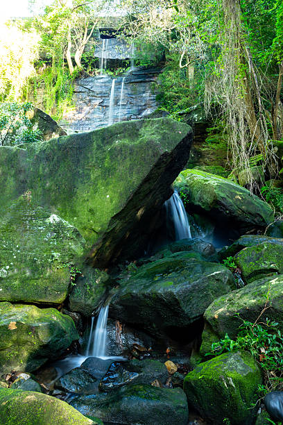 A picturesque waterfall tumbles gently over weathered sandstone, surrounded by dense green foliage in a vibrant forest setting. The scene captures the tranquility and natural beauty of a hidden woodland stream