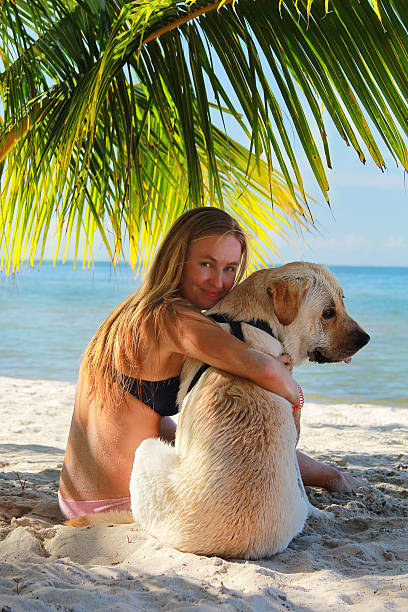 Young woman hugging a wet Labrador Retriever on a tropical beach under palm leaves. Summer vacation moment, friendship, love, and connection between human and dog.